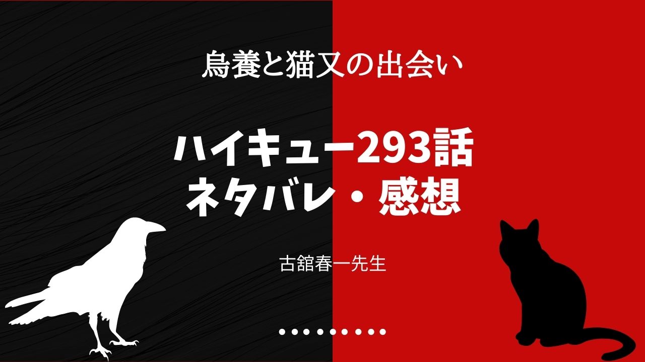 ハイキュー 293話 約束の地 ネタバレ 烏野vs音駒 ゴミ捨て場の決戦 の試合が今始まる アニメの続きはこちらから Fanfan Comic ふぁんこみ